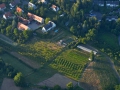 Zimmers Obstgarten - auf dem Land in der Stadt   Foto: Ronald Rinklef