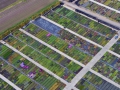 Der Bamberger Staudengarten  Foto: Ronald Rinklef