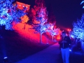 Foto: Ronald Rinklef