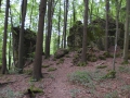 Foto: Ronald Rinklef